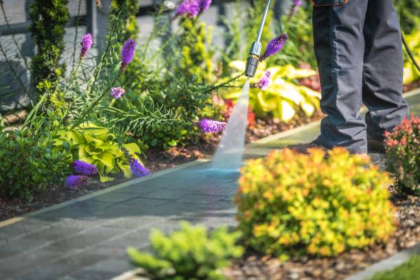 Best Restaurant Pressure Washing  in Stuart, IA